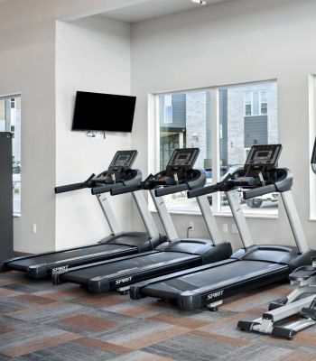 Three treadmills and two elliptical machines are lined up in a modern gym with large windows and TVs.